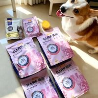 挑食小狗有救了！麦富迪原生鲜肉狗粮这样破解喂养难题