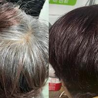 植物染发为何只有深色可选？真相与选购指南