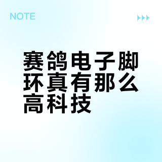 赛鸽电子脚环真有那么高科技？一文看懂它的技术原理与真实用途