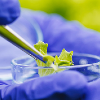 选植物提取工艺，别再纠结“最先进”！这3种高端方法怎么挑才不踩雷？
