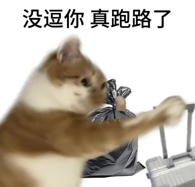 安全座椅