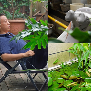 如何将露台打造成智能试验场，教你手把手用滴灌技术打造藏在钢筋水泥丛林里的绿植园地～
