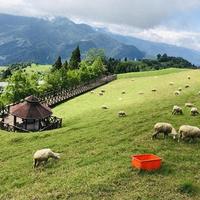 农场vs科技馆:带娃周末别被滤镜骗,真相藏在泥巴和排队里