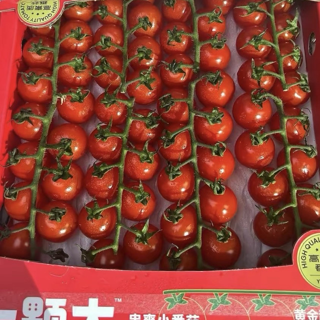 大玲珑小番茄，全家都爱