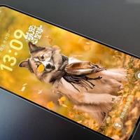 荣耀WIN RT影像实测：扫码快、拍人稳，但别指望长焦和夜景