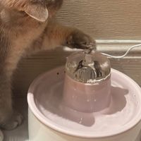 CARA可然 猫咪饮水机