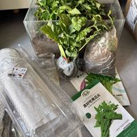 阳台种西瓜，是乐趣还是鸡肋？一文说清适合人群与实操要点