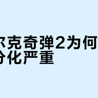 鸿星尔克奇弹2为何评价两极分化严重？
