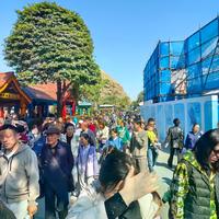 珠海长隆入园零食通关秘籍