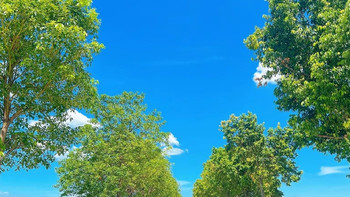 运动装备红黑榜：跑鞋瑜伽裤耳机