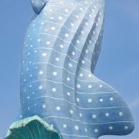 618囤长隆亲子套餐,暑期带娃遛娃太划算