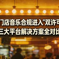雷石vs视易K歌系统怎么选?家庭娱乐与自助KTV用户必看避坑指南