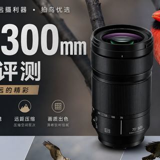 吊打御三家？松下70-300拍鸟评测