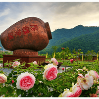 无糖黄酒真能好喝？三款实测告诉你谁在风味上没“躺平”