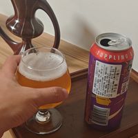 击倒巨人～赛博暴龙，酒花ipa