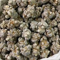 三七价格小幅回落，高端规格抗跌明显