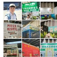 暂停访谈一个多月后,我决定去全国溯源一支医生放心用的艾条