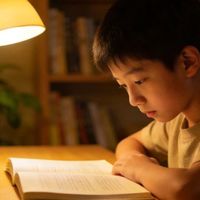 刷完3分钟解说，你真的“读懂”《那不勒斯四部曲》了吗？