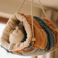 主子不爱百元猫窝？旧衣服DIY反而更香，安全舒适还零成本
