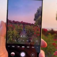 直屏党赢麻了？Mate70标准版 vs Pro真实体验大拆解