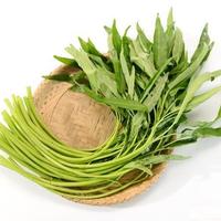 入夏，少买黄瓜茄子，多买这3样“碱性菜”鲜嫩多汁，还便宜