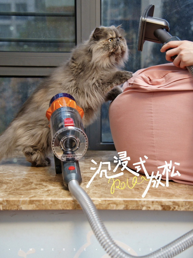“宠物除浮毛吸头” | 无线吸尘器应用于“宠物SPA”的神器哈！