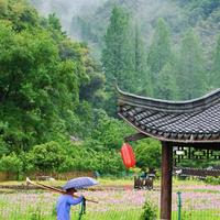 在宁波!离市区0.5h又挖到一条冷门溪水古道
