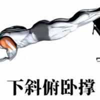 下斜俯卧撑：胸肌上沿的“填坑神器”，做过的胸型都变了