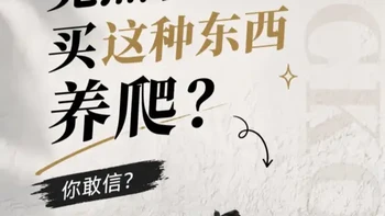 网红爬宠饲养箱硬伤拆解：反常识设计如何危害宠物健康