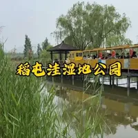 泰安东平稻屯洼湿地公园游玩攻略