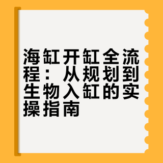 新手下海必看🌊海缸开缸全流程，一步都别搞