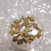 猫咪零食天花板✨解馋洁齿双在线