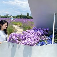👍这绝对是我用过“性价比最高”的发膜，没有之一👏