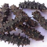 海参泡发总失败？三个关键细节决定成败