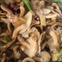 6月吃菌黄金期！三款热门野生菌怎么选才安全又划算？