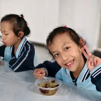 2026火旺之年，天根梨汤vs玉露香梨膏怎么选？一文说清谁更适合你