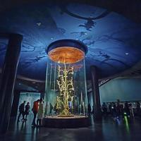 台湾馆长逛三星堆：从震撼到目瞪口呆，惊叹大陆是拍不完的地方