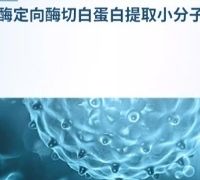 术后补营养白蛋白肽选哪个牌子好?术后调养指南,助力身体恢复