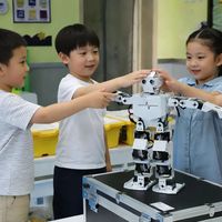 幼儿园学科启蒙的正确认知：兴趣引导≠超前教学