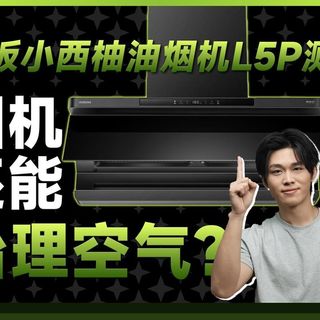 空气净化器的尽头，居然是油烟机？甲醛、油烟、PM2.5全搞定，老板小西柚L5P深度测评