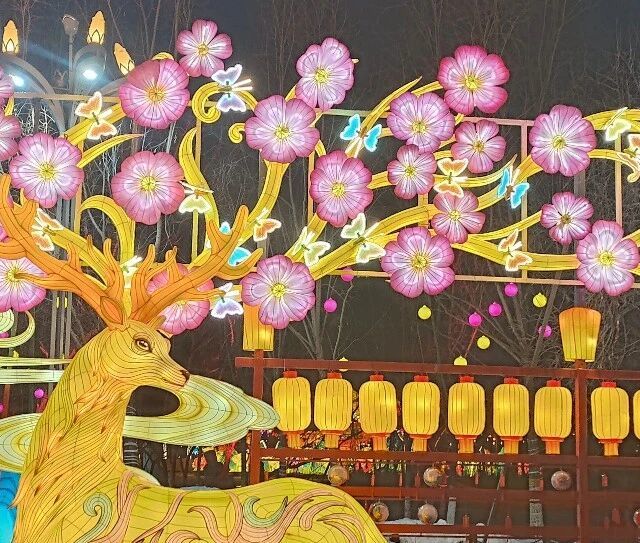 一嗨、神州、哈啰租车怎么选？三大维度拆解避坑指南