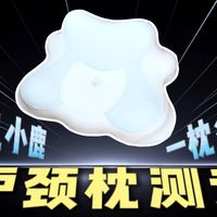 【换枕必看】神气小鹿护颈枕自费测评！工学枕值得买吗？