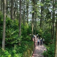AI眼镜翻译真能实时？实测街头问路、展会听会全翻车