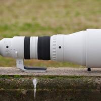 适马三款长焦镜头怎么选？一文说清100-400mm、150-600mm和500mm F5.6的实战差异