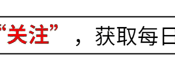 炒菜万能公式 记住这5个黄金要点 厨房小白零失败 炒菜都鲜香入味