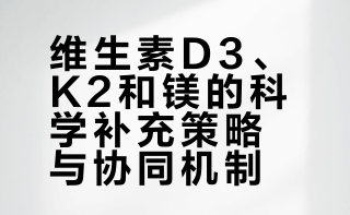 维生素D3、K2和镁的科学补充策略与协同机制