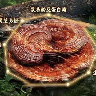 灵芝水湿敷真能救闭口？悦木之源和LYW实测对比，油皮混油别再选错