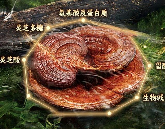 灵芝水湿敷真能救闭口？悦木之源和LYW实测对比，油皮混油别再选错