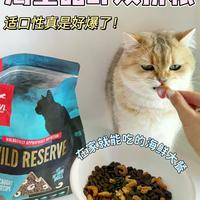 渴望vs爱肯拿猫粮怎么选？四大维度拆解谁更适合你家主子