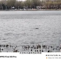 OPPO Find X9 Pro增距镜实拍测评：光学无损远射能力解析